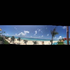 Meet your Posher, Lilly